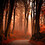 Pramod_Sharma